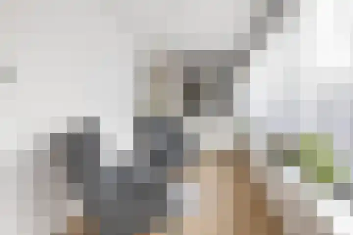Kantstijl 34 Wateringen thumbnail 16