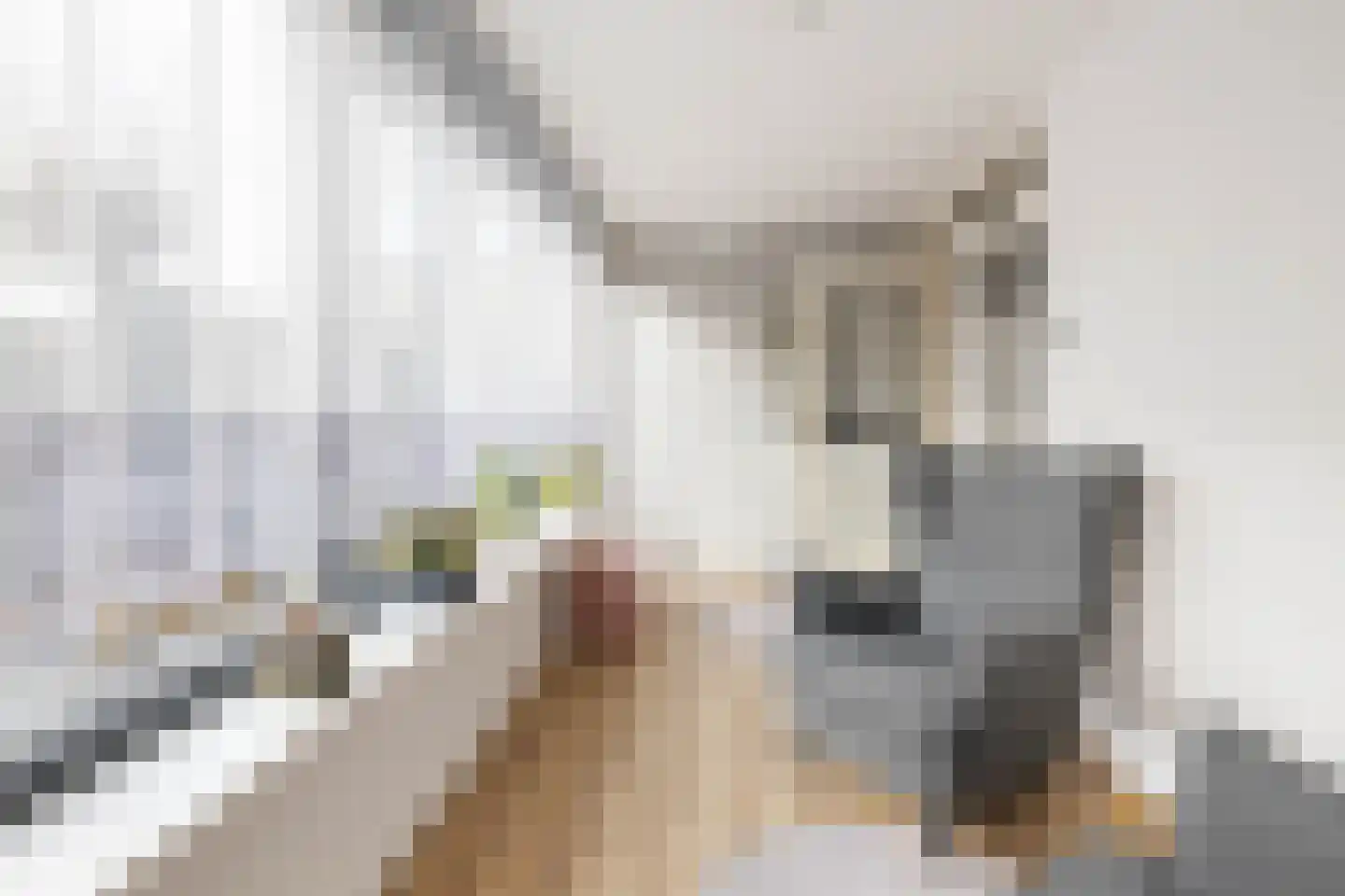 Kantstijl 34 Wateringen thumbnail 17