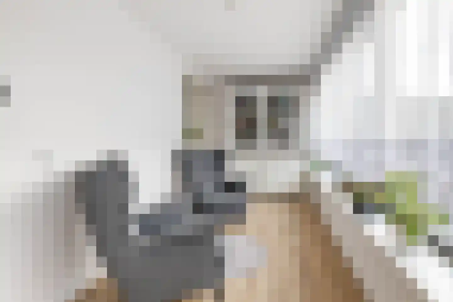 Kantstijl 34 Wateringen thumbnail 18