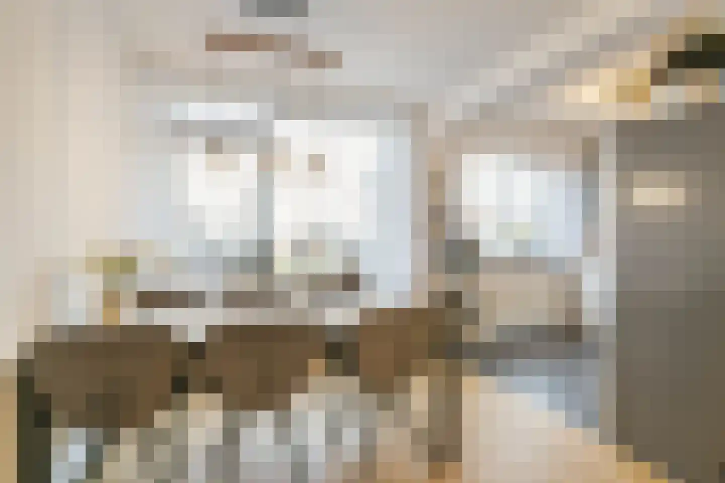 Kantstijl 34 Wateringen thumbnail 4