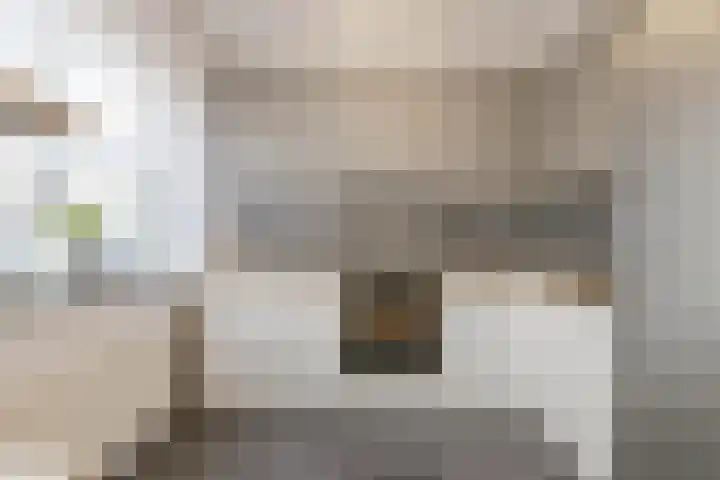Kantstijl 34 Wateringen thumbnail 5