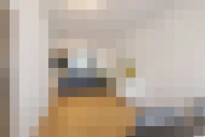 Kantstijl 34 Wateringen thumbnail 8