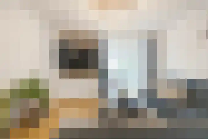 Kantstijl 34 Wateringen thumbnail 9