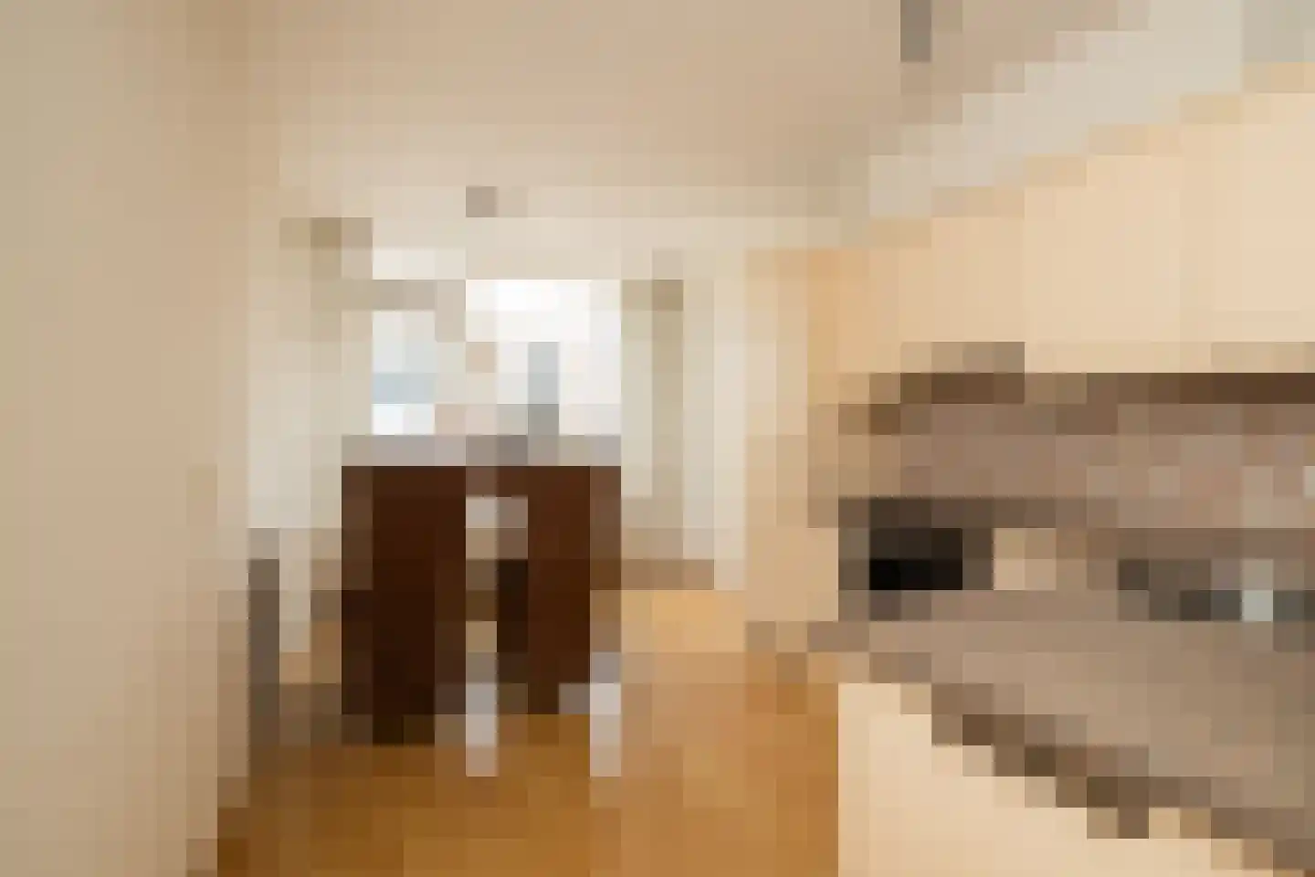 Kantstijl 40 Wateringen thumbnail 10