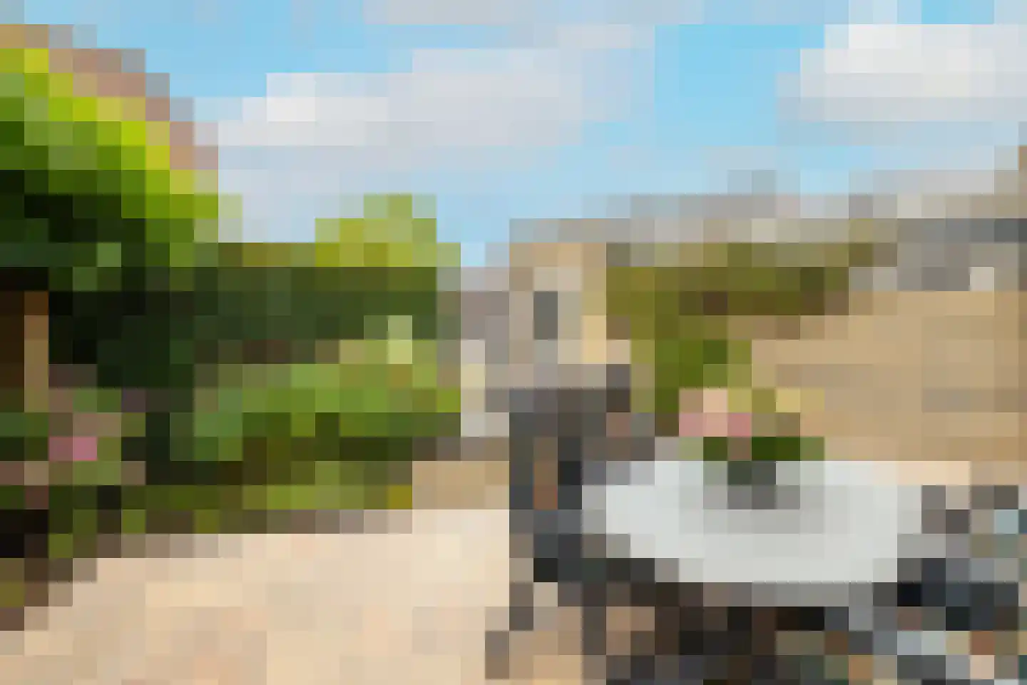 Kantstijl 40 Wateringen thumbnail 15