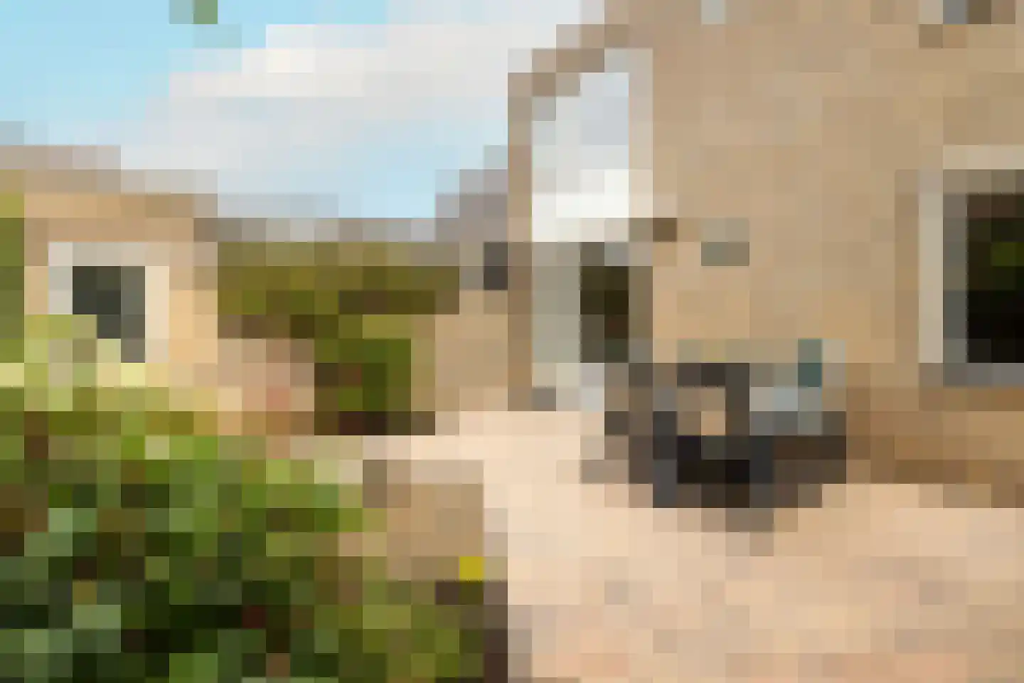 Kantstijl 40 Wateringen thumbnail 16