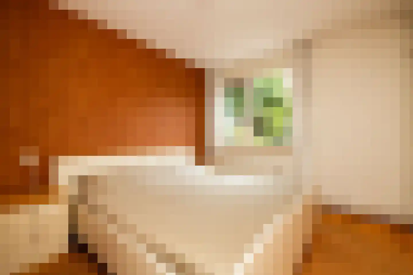 Kantstijl 40 Wateringen thumbnail 19