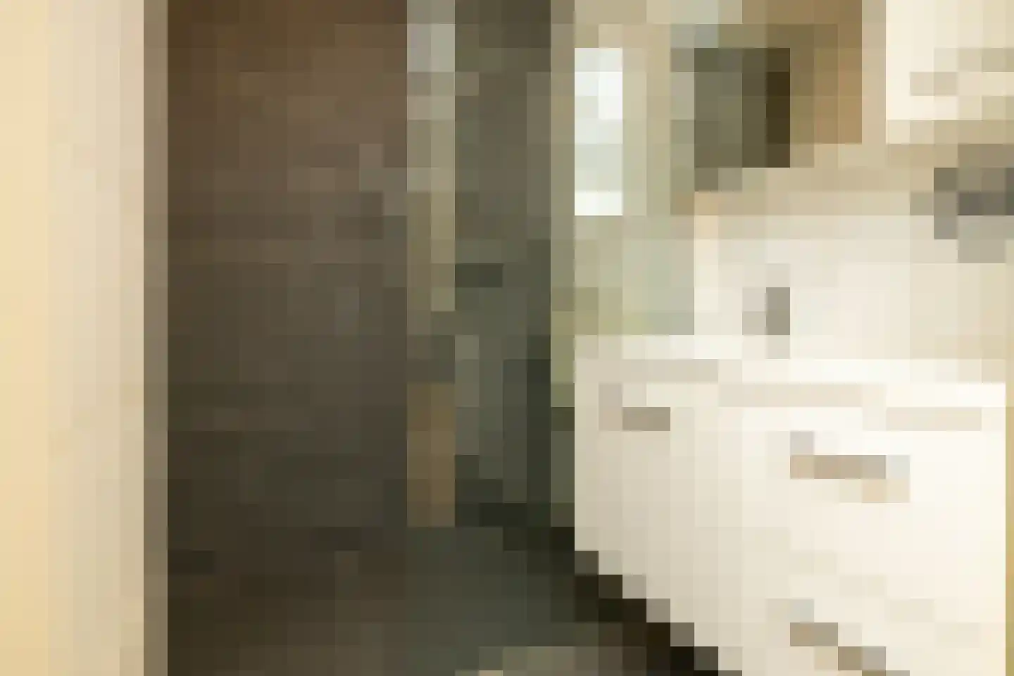 Kantstijl 40 Wateringen thumbnail 22