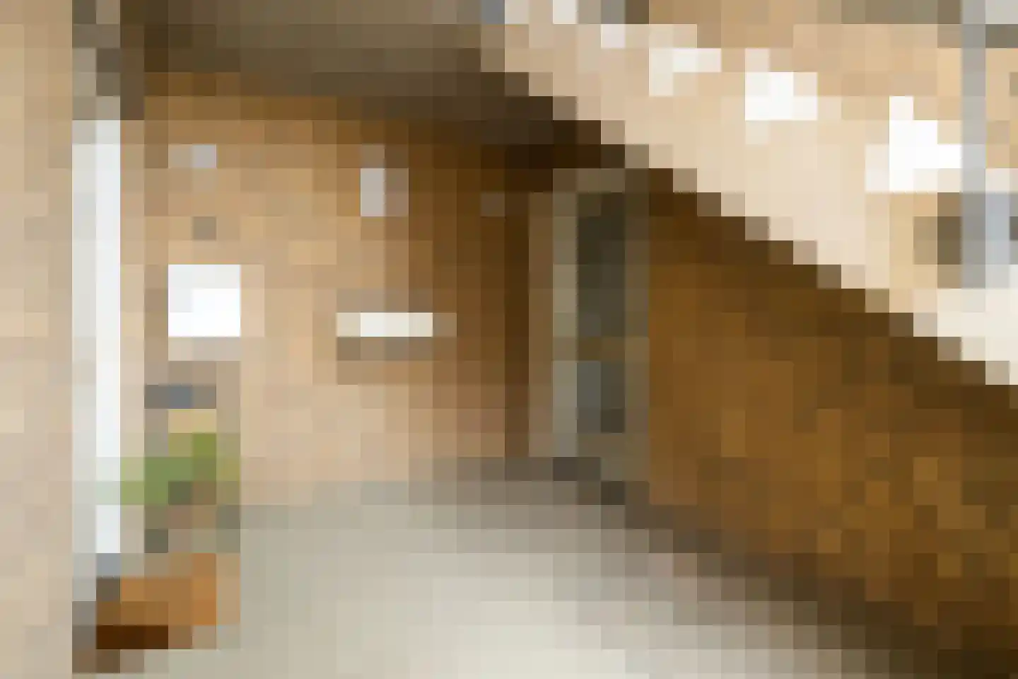 Kantstijl 40 Wateringen thumbnail 32