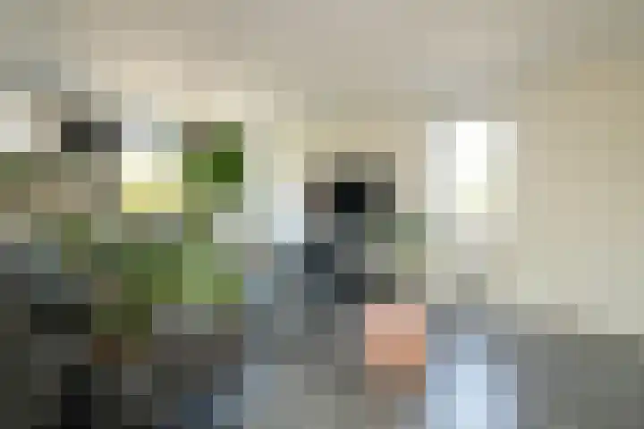 Kantstijl 42 Wateringen thumbnail 10