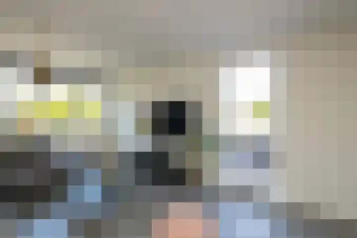Kantstijl 42 Wateringen thumbnail 14