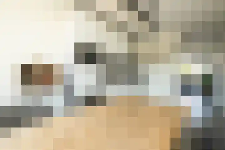Kantstijl 42 Wateringen thumbnail 19