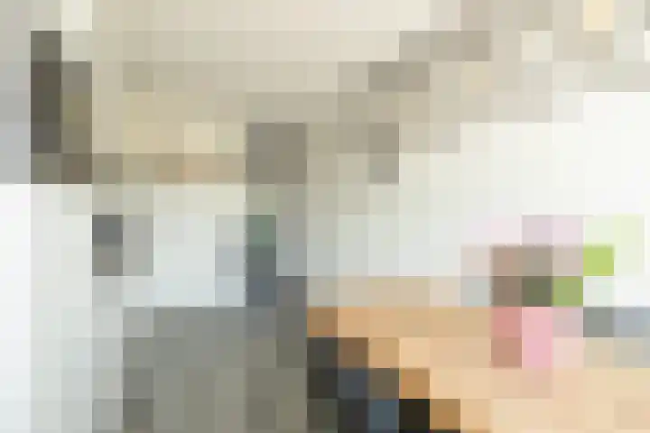 Kantstijl 42 Wateringen thumbnail 21
