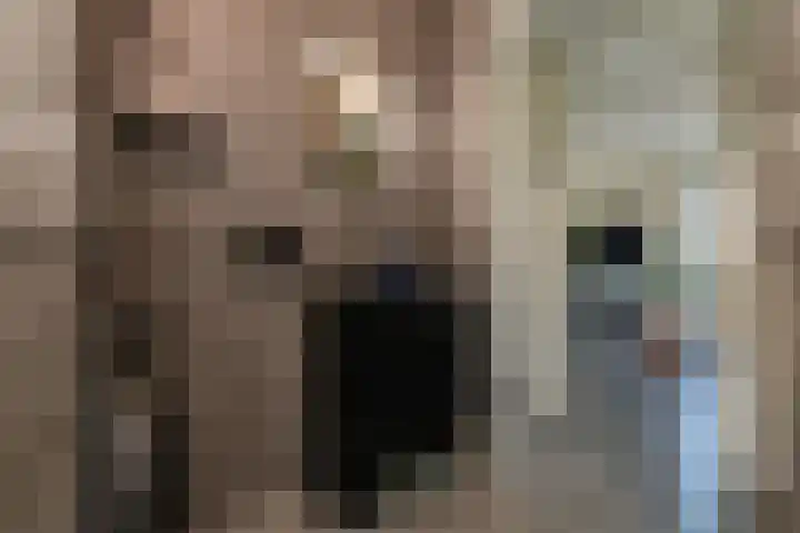 Kantstijl 42 Wateringen thumbnail 27