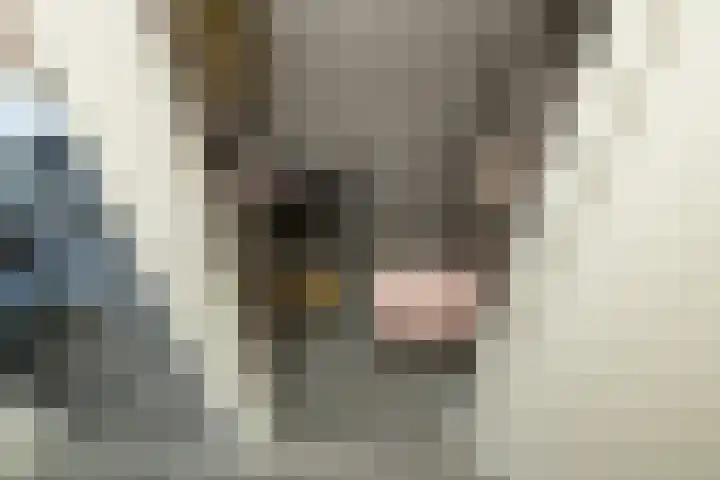Kantstijl 42 Wateringen thumbnail 9