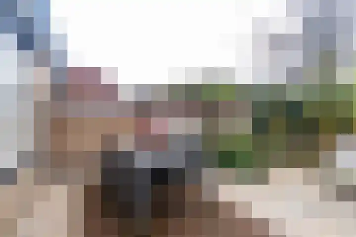 Kantstijl 5 Wateringen thumbnail 14
