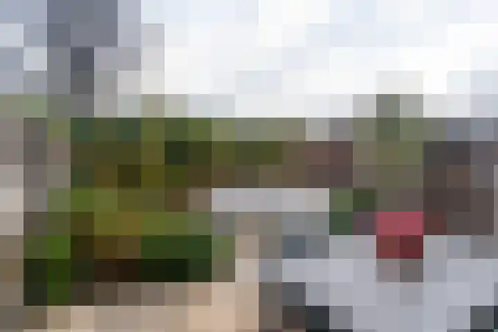 Kantstijl 5 Wateringen thumbnail 15