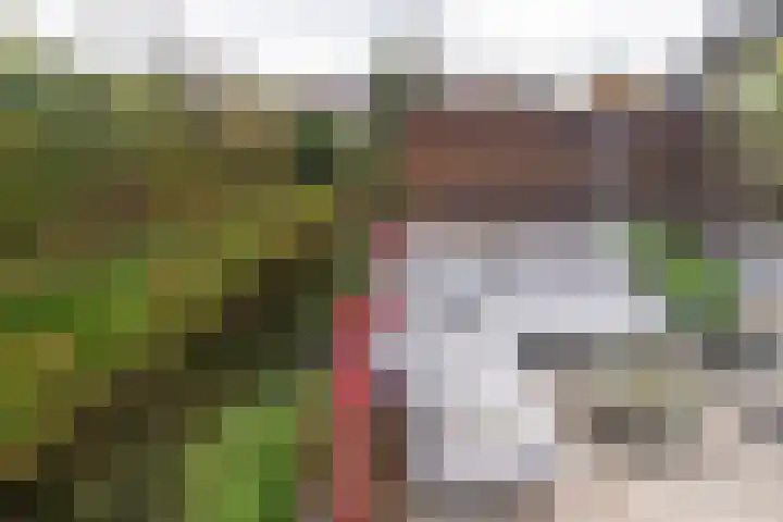 Kantstijl 5 Wateringen thumbnail 17