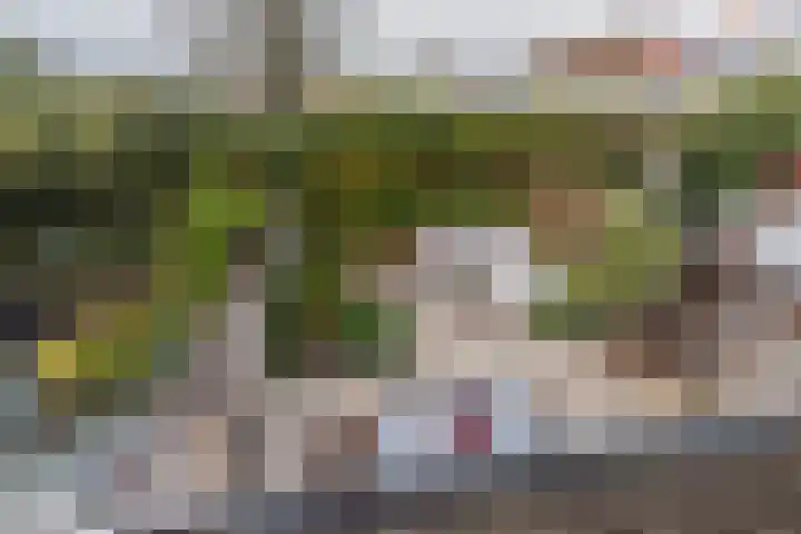 Kantstijl 5 Wateringen thumbnail 19