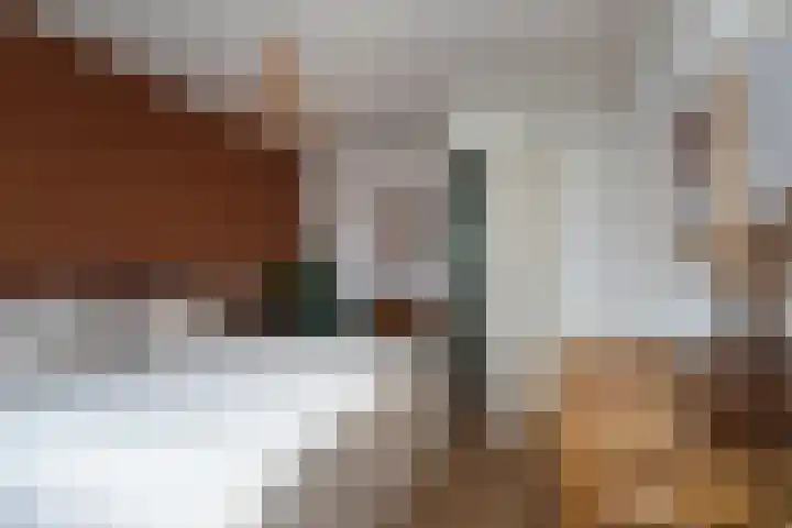 Kantstijl 5 Wateringen thumbnail 21