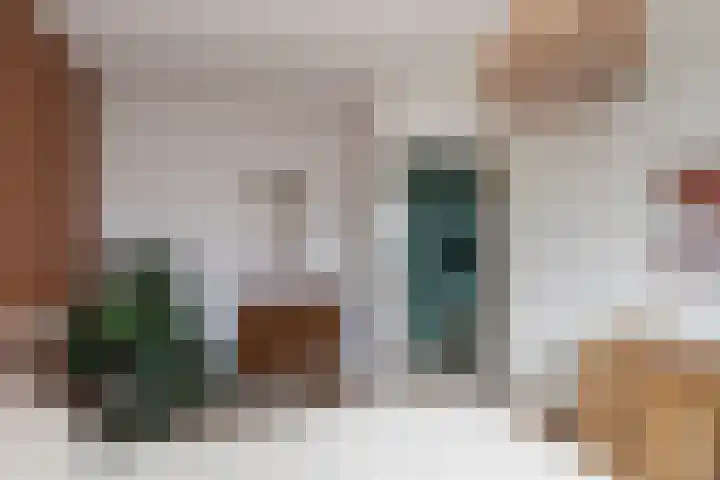 Kantstijl 5 Wateringen thumbnail 22