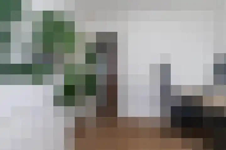 Kantstijl 5 Wateringen thumbnail 24