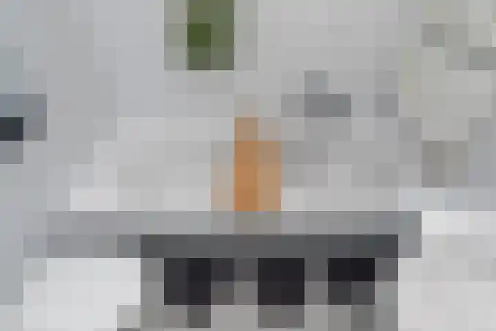 Kantstijl 5 Wateringen thumbnail 28