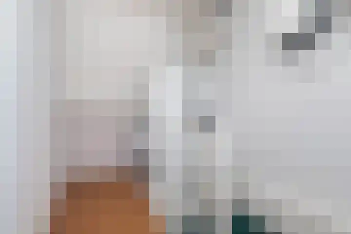 Kantstijl 5 Wateringen thumbnail 34