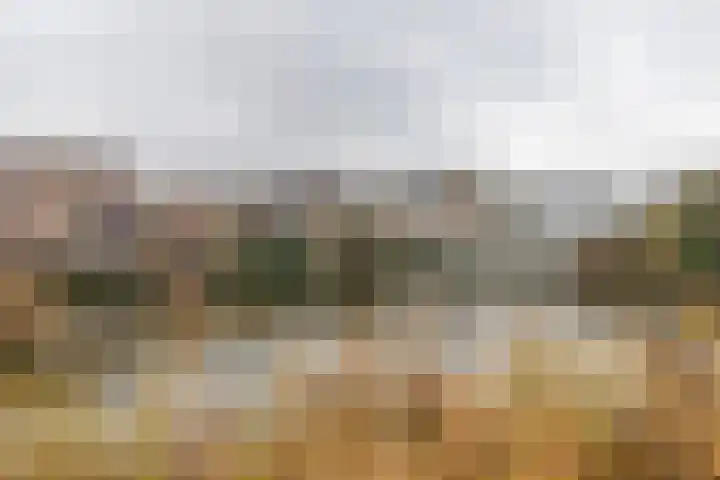 Kantstijl 5 Wateringen thumbnail 41