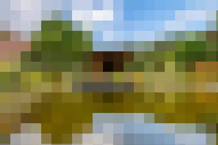 Kantstraat 12 Landgraaf thumbnail 33