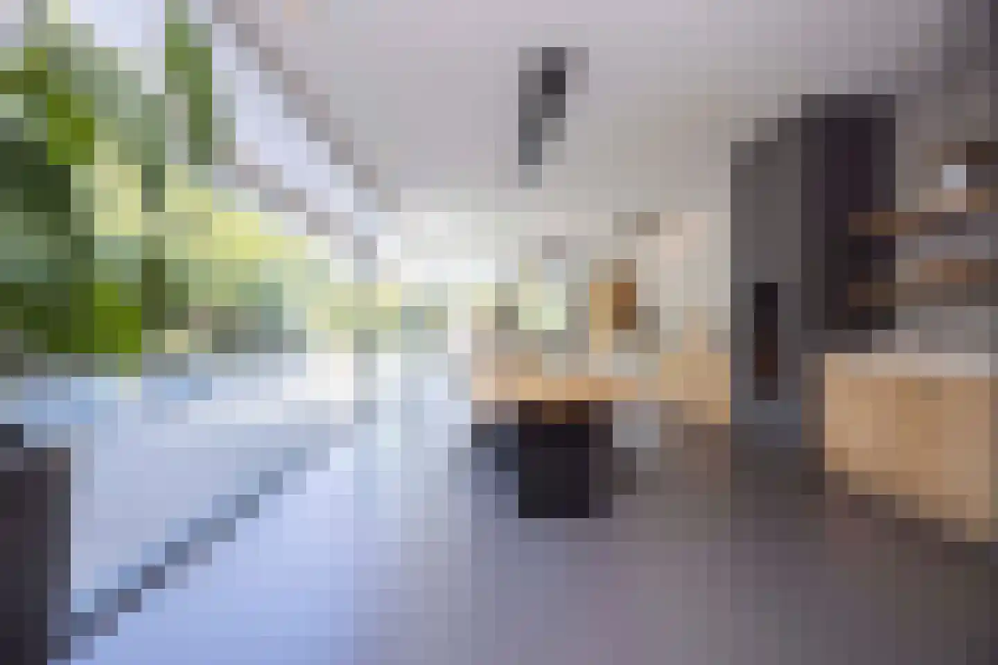 Kantstraat 16 Haaren thumbnail 13