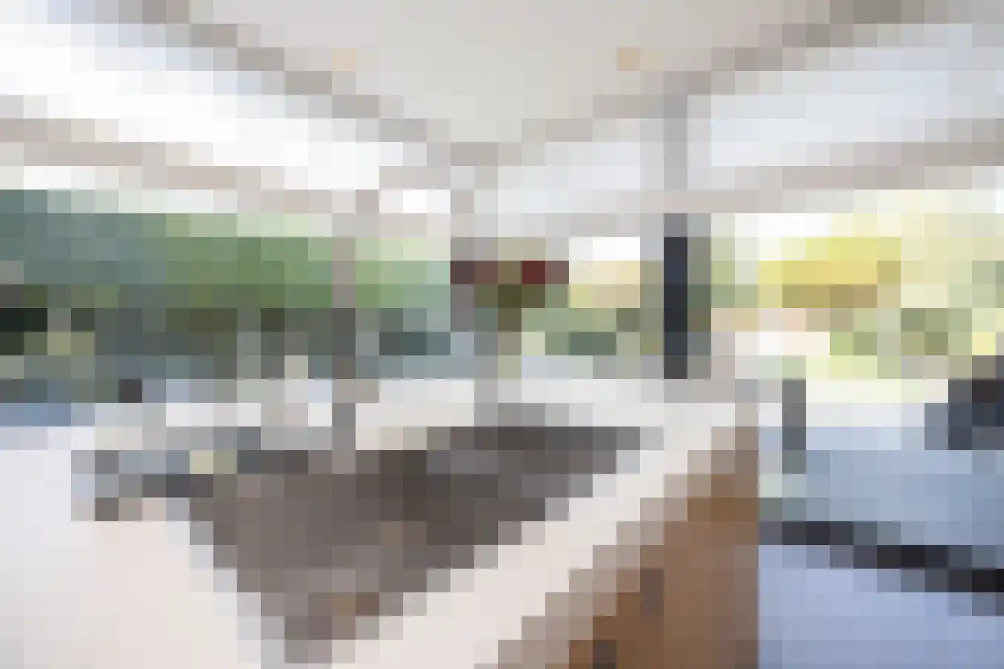 Kantstraat 16 Haaren thumbnail 17