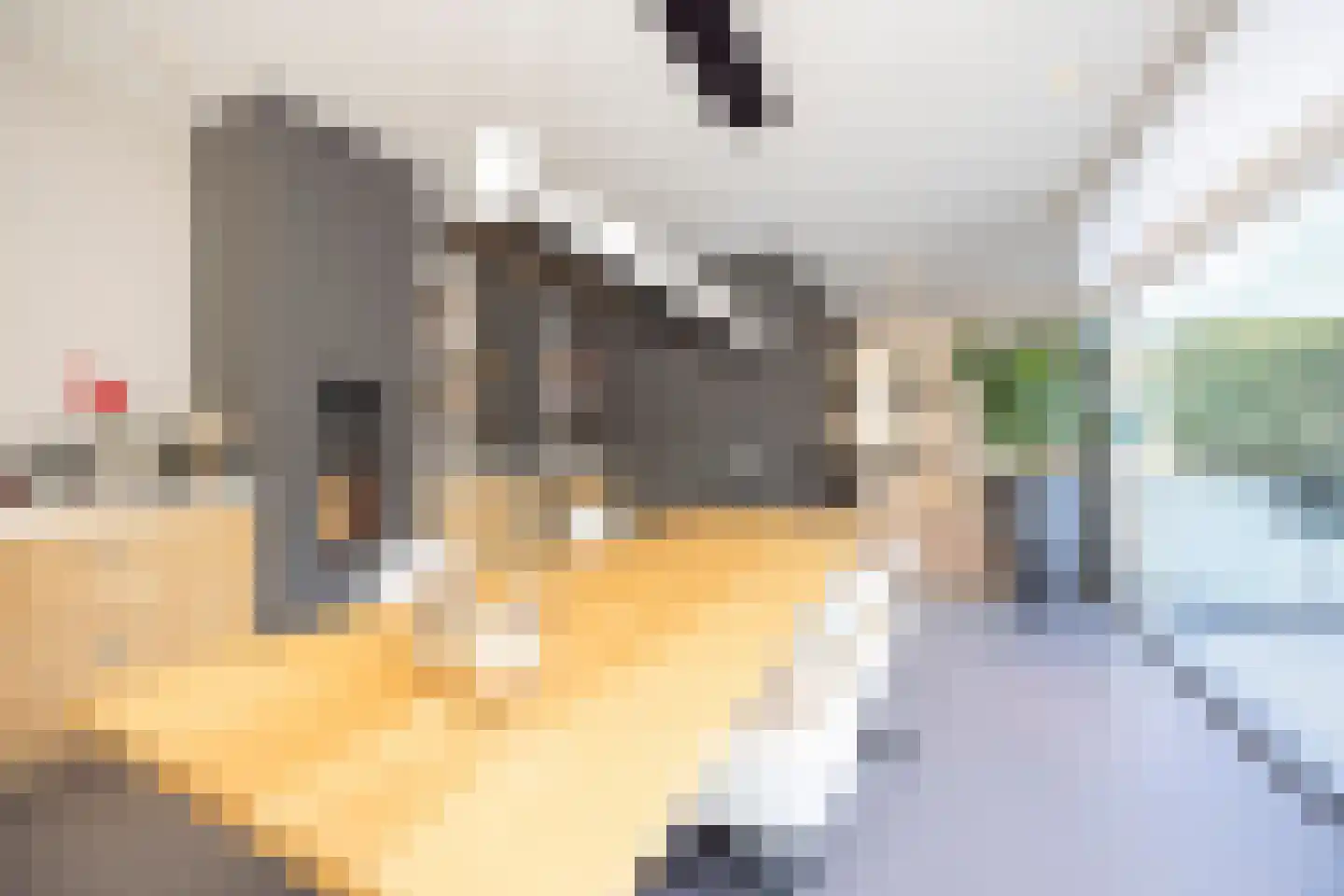Kantstraat 16 Haaren thumbnail 19