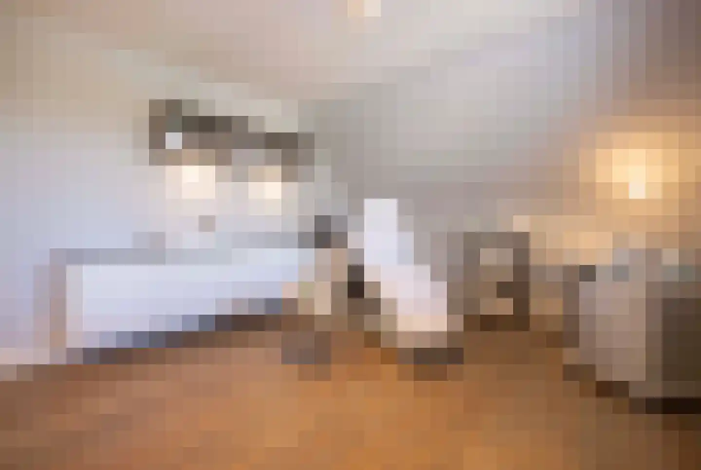 Kantstraat 16 Haaren thumbnail 31