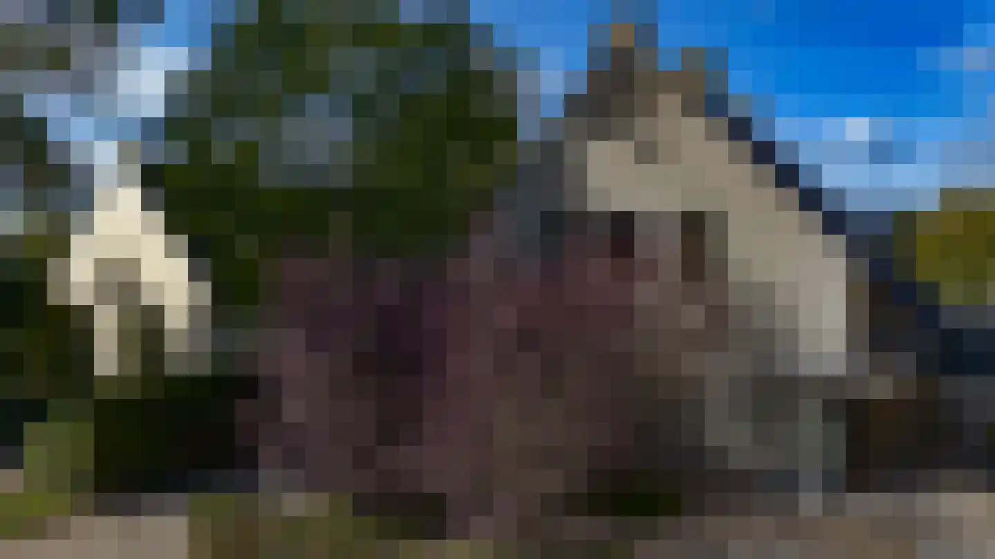 Kantstraat 16 Haaren thumbnail 4