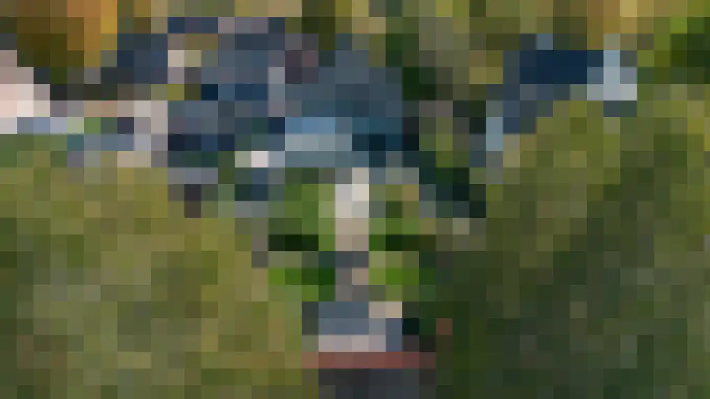 Kantstraat 16 Haaren thumbnail 55