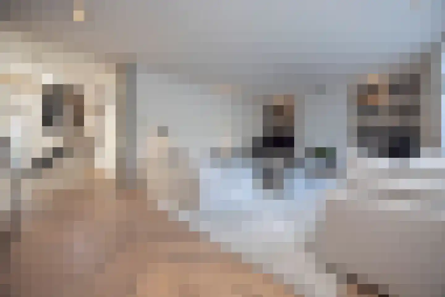 Kantstraat 16 Haaren thumbnail 7
