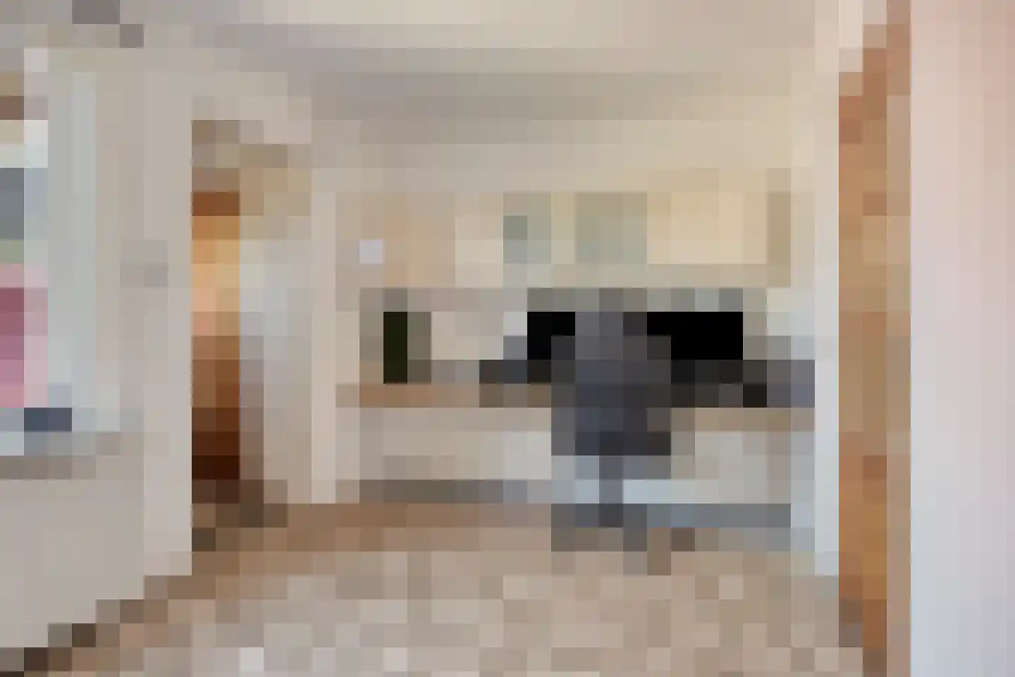 Kantstraat 28 Sint Joost thumbnail 11