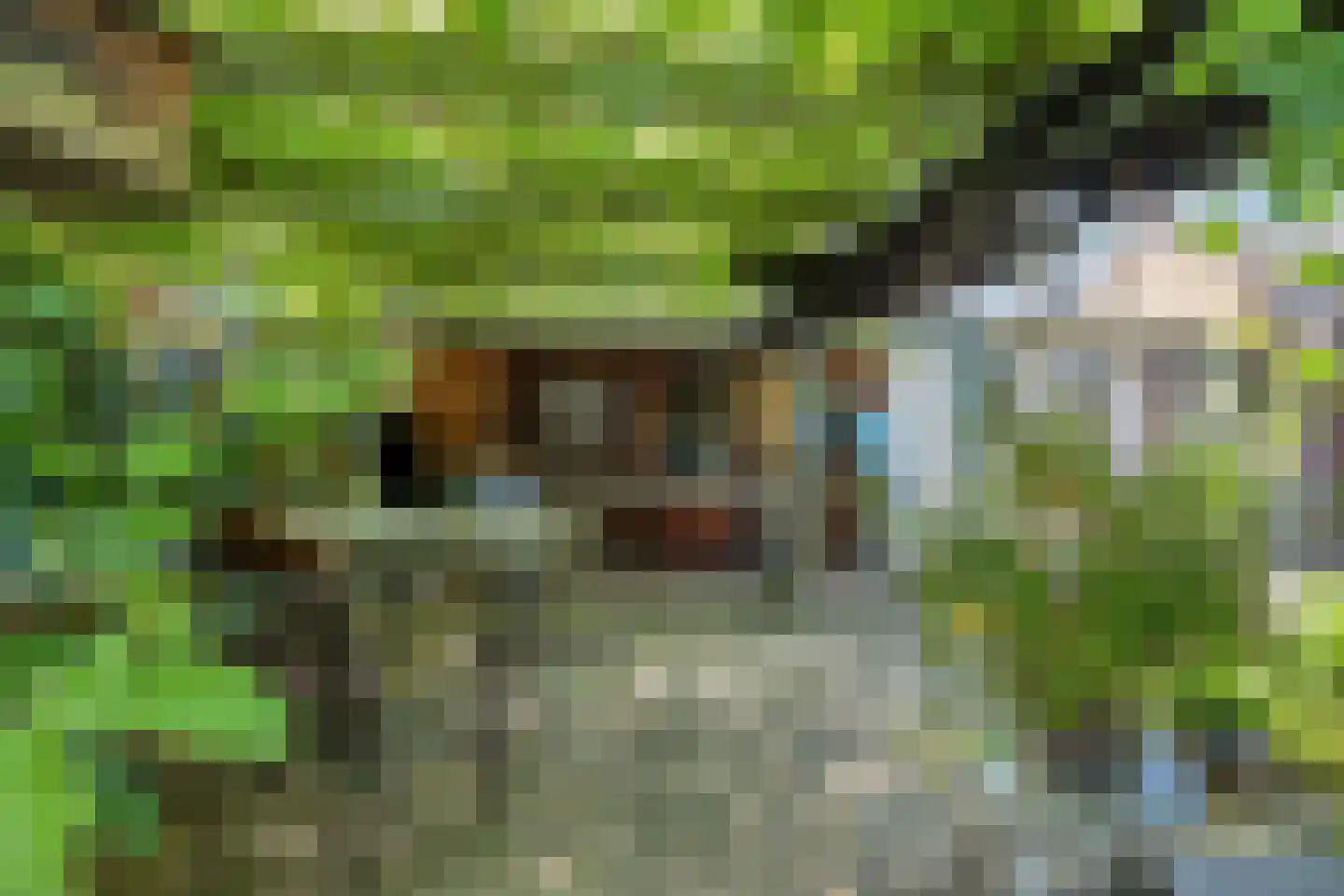 Kantstraat 28 Sint Joost thumbnail 29