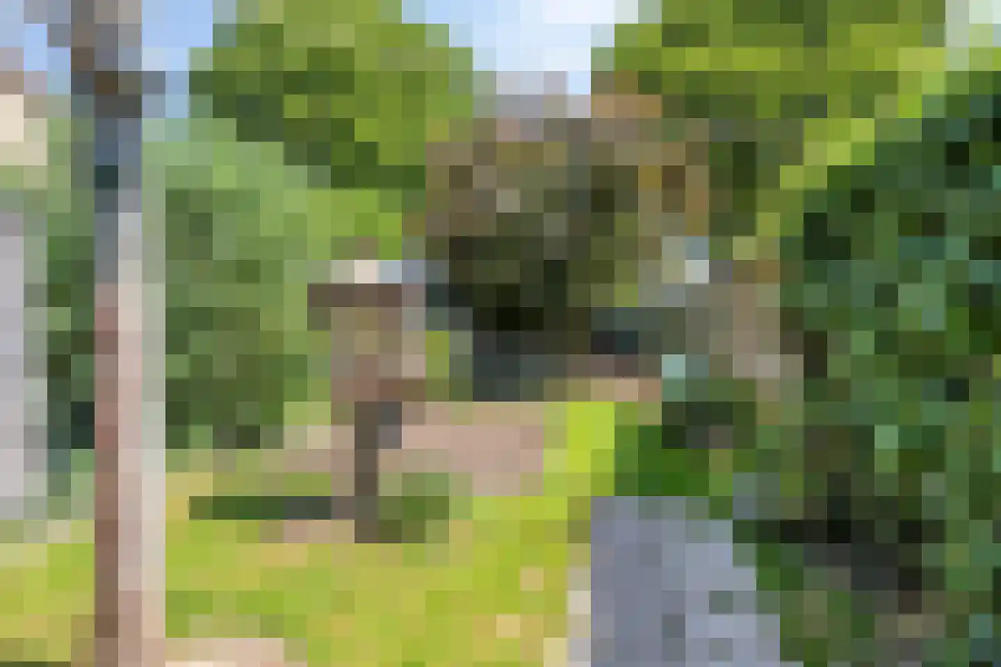 Kantstraat 28 Sint Joost thumbnail 31