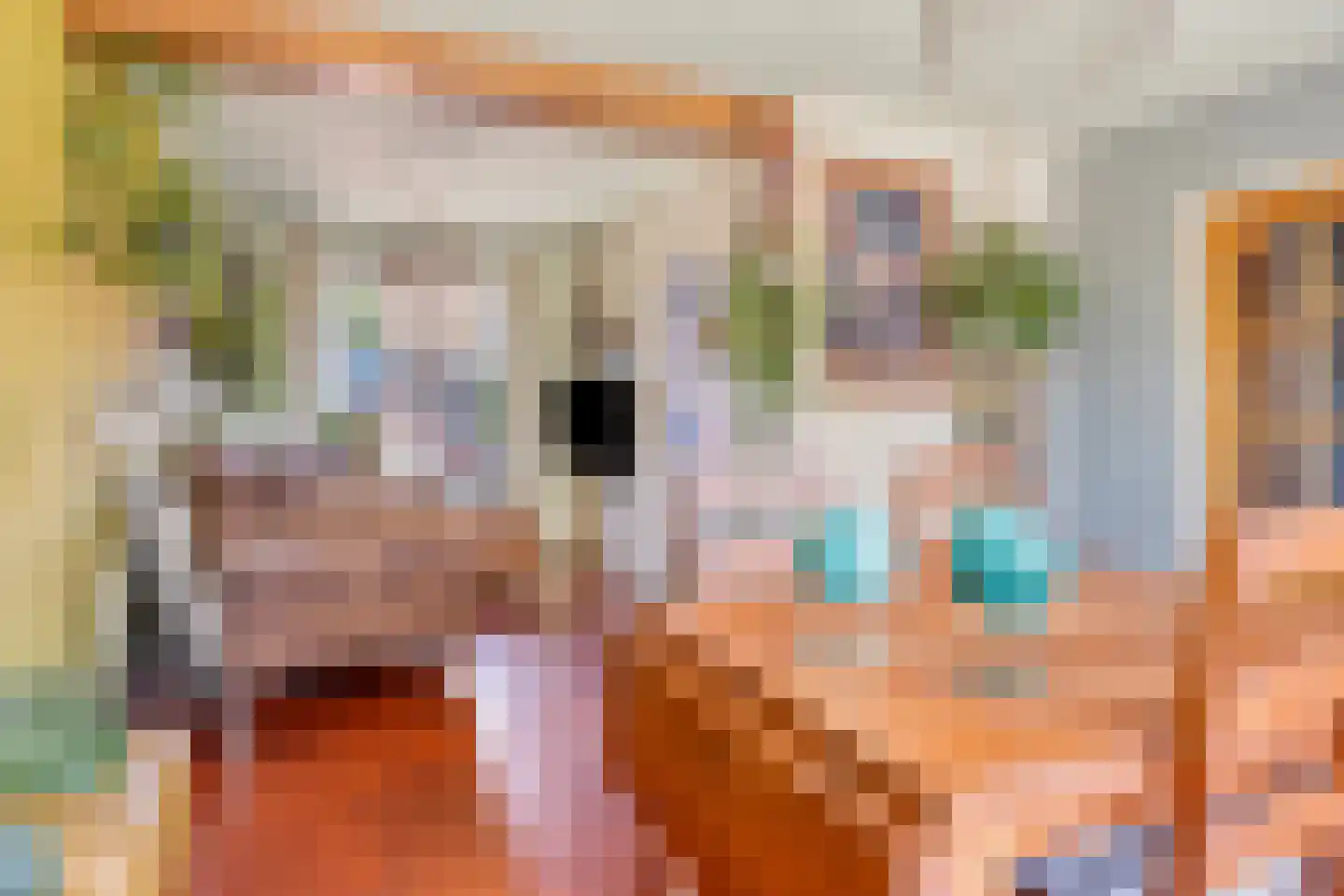 Kantstraat 28 Sint Joost thumbnail 7