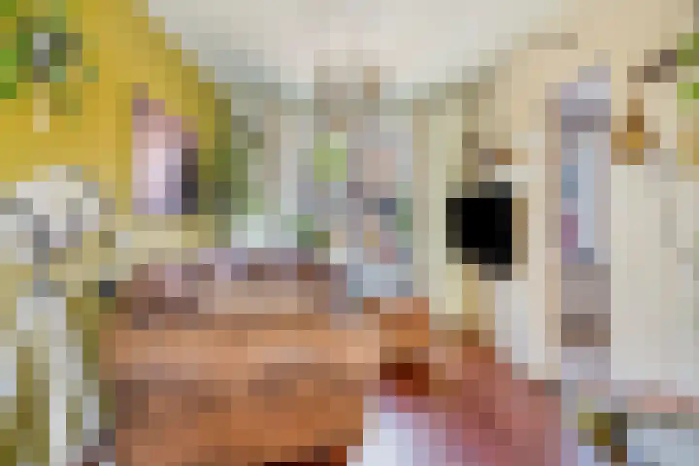 Kantstraat 28 Sint Joost thumbnail 8