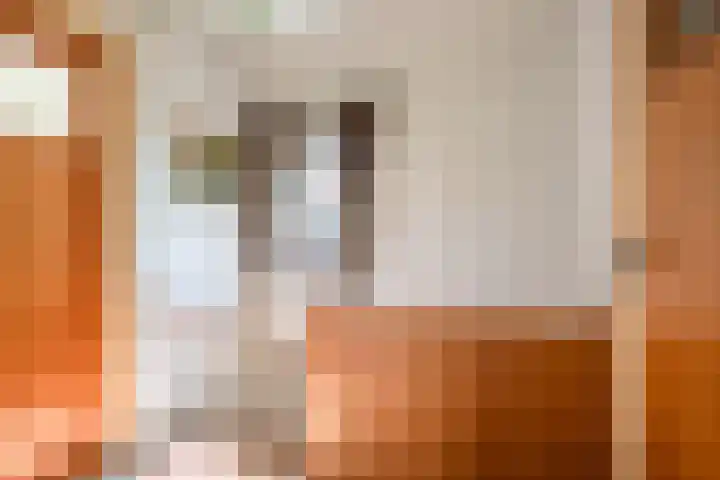 Kantstraat 4 Sint Joost thumbnail 11