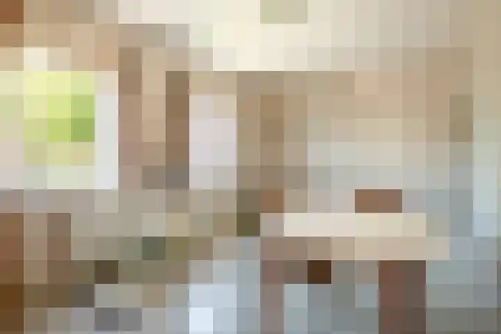 Kantstraat 4 Sint Joost thumbnail 15
