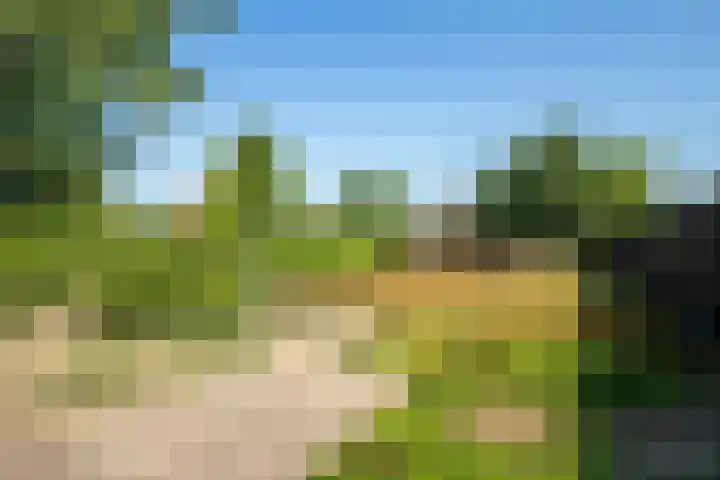 Kantstraat 4 Sint Joost thumbnail 18