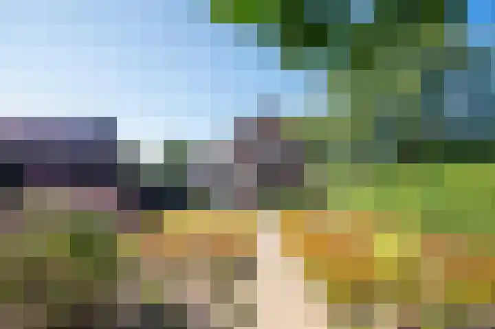 Kantstraat 4 Sint Joost thumbnail 20