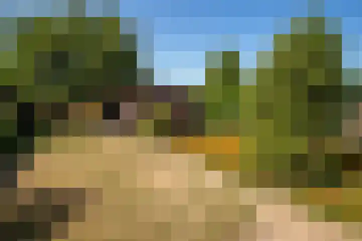 Kantstraat 4 Sint Joost thumbnail 21