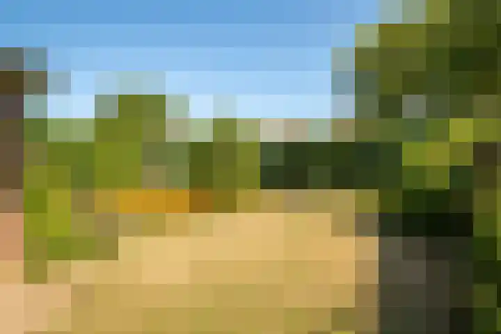 Kantstraat 4 Sint Joost thumbnail 22