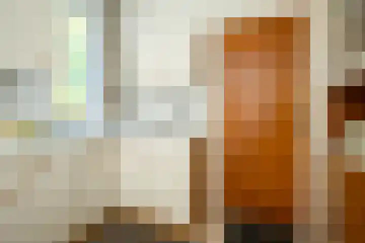 Kantstraat 4 Sint Joost thumbnail 6