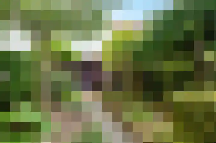 Kantstraat 51 Landgraaf thumbnail 18